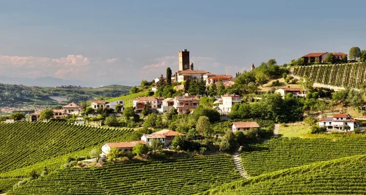 Barbaresco