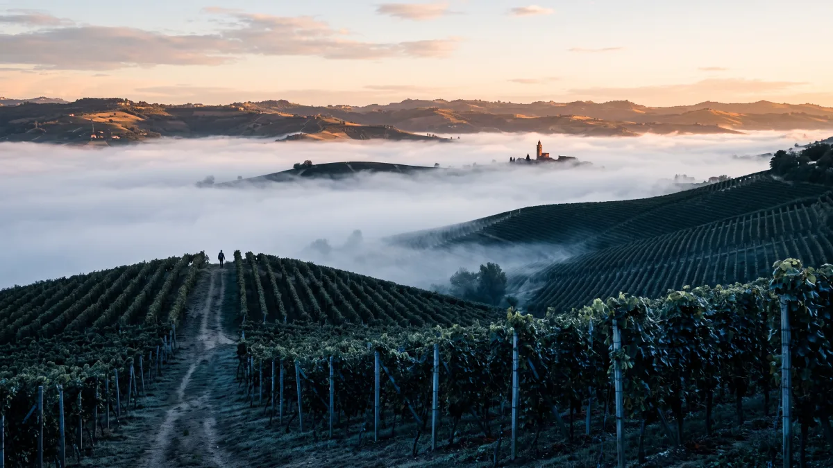 Le Langhe in due giorni